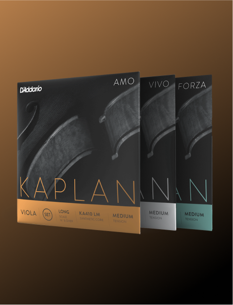 Kaplan Viola
