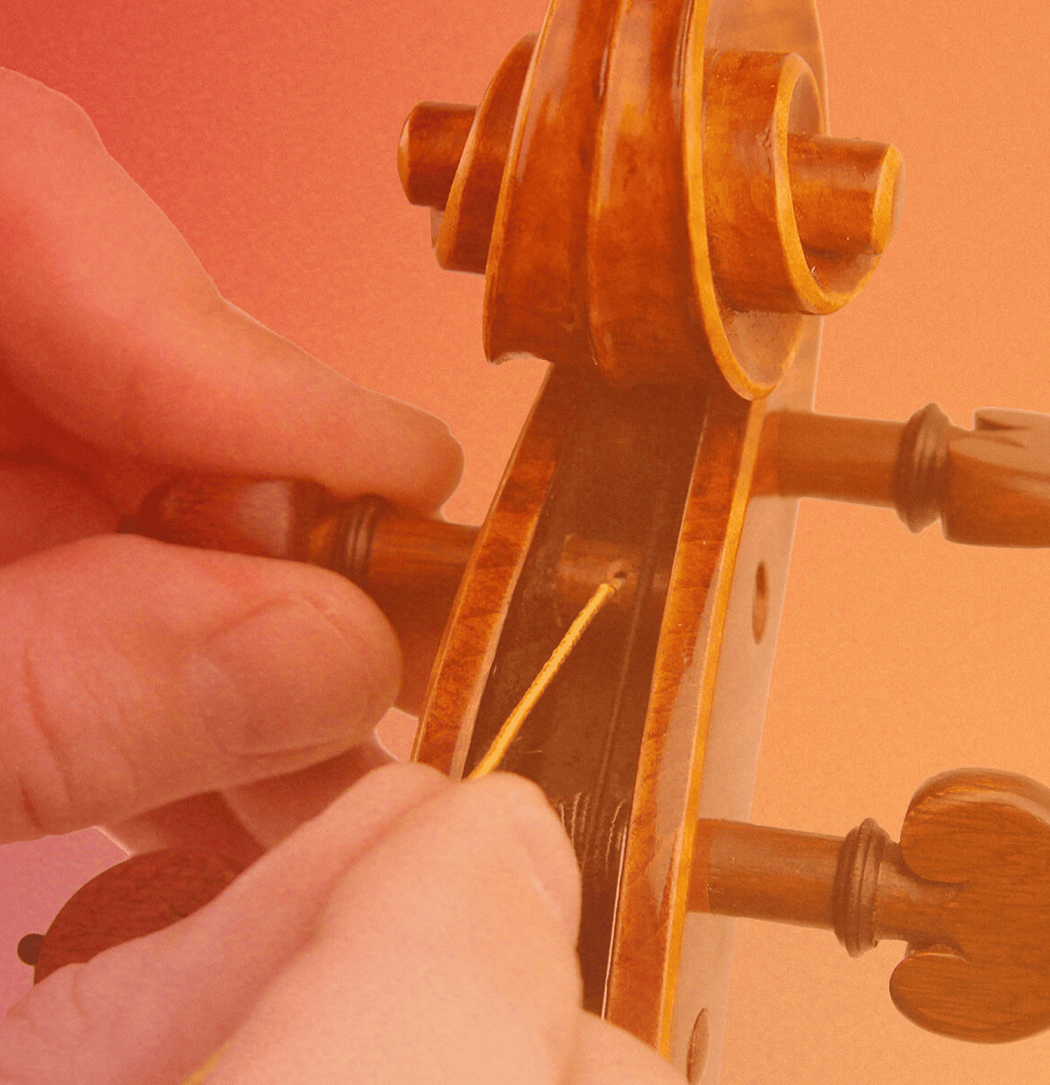 Violin and Viola Survival Guide