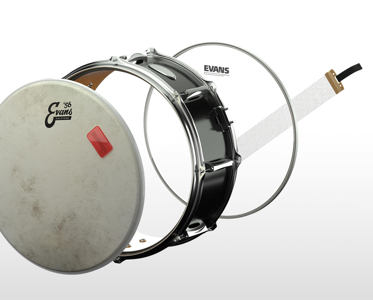 Evans calftone snare kit