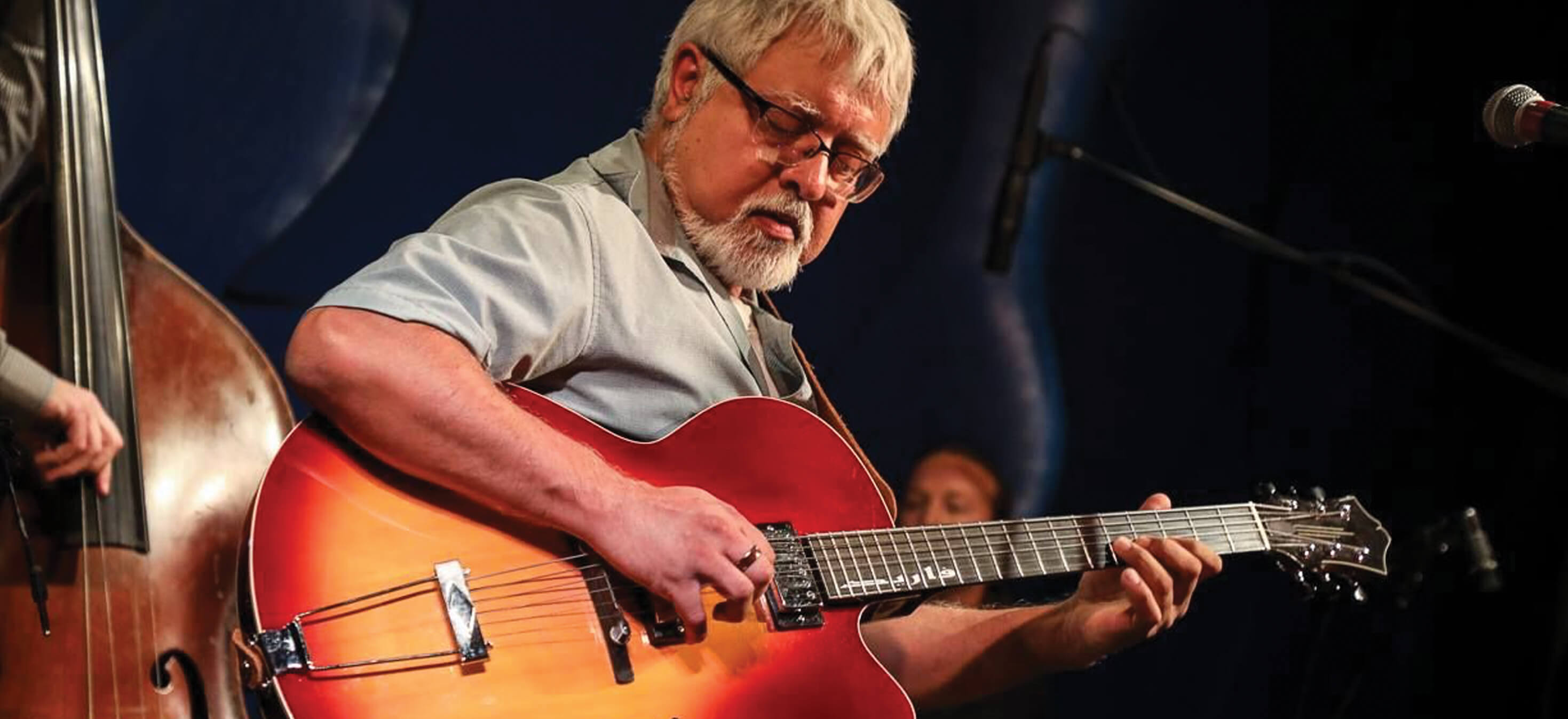 Fareed Haque, professional guitarist