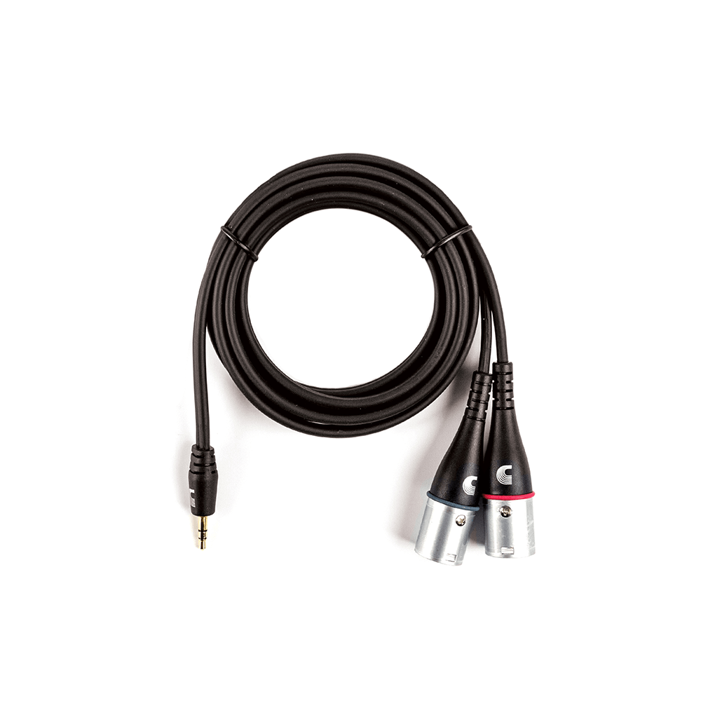 D'Addario Custom Series 1/8” to Dual XLR Audio Cable