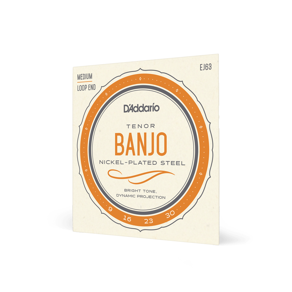 D'Addario EJ63 Tenor Banjo Strings, Nickel, 9-30