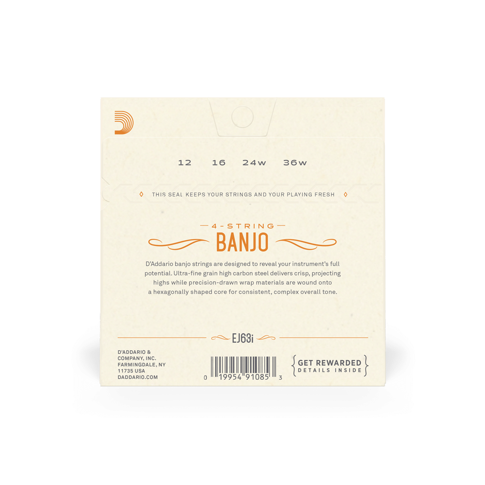 D'Addario EJ63i Irish Tenor Banjo Strings, Nickel, 12-36
