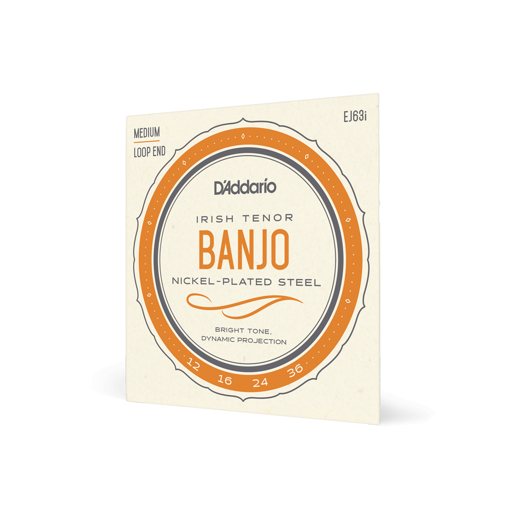 D'Addario EJ63i Irish Tenor Banjo Strings, Nickel, 12-36