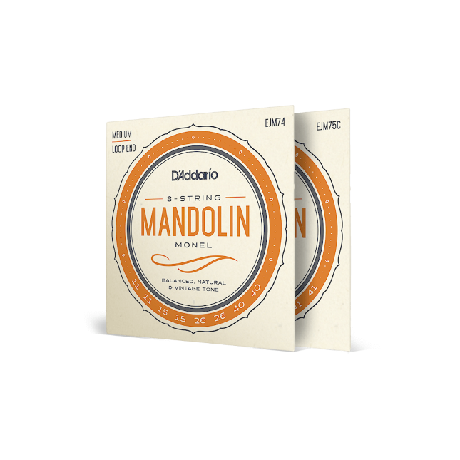 Monel Mandolin Strings