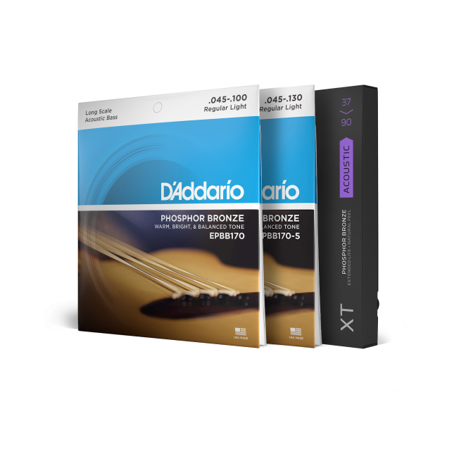 Acoustic Bass Strings