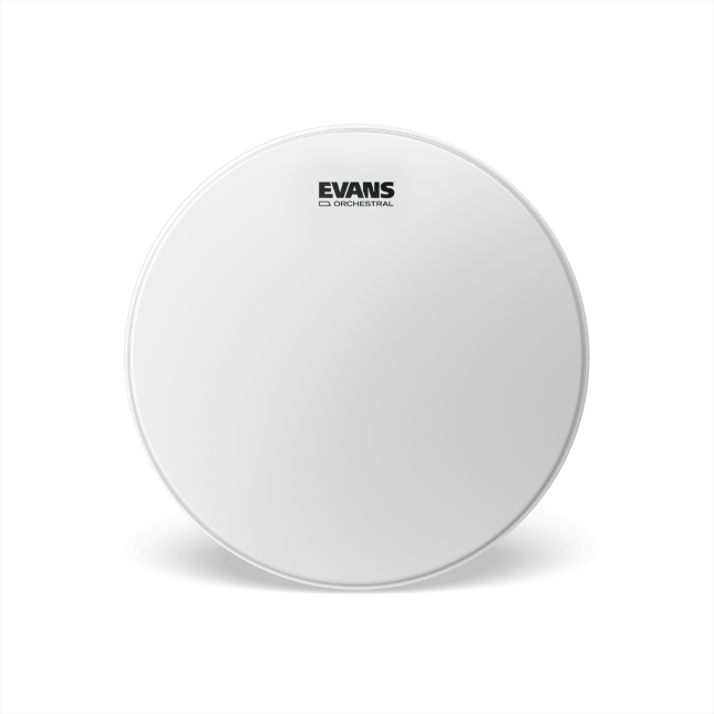 EVANS Orchestral Coated White Snare Drum Head, 14 Inch