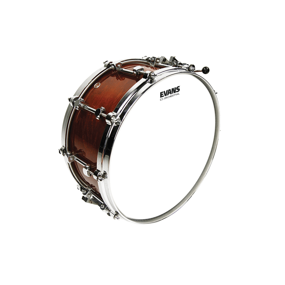 EVANS Orchestral Coated White Snare Drum Head, 14 Inch