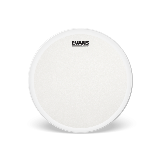EVANS Orchestral Stacatto Coated White Snare Drum Head, 14 Inch
