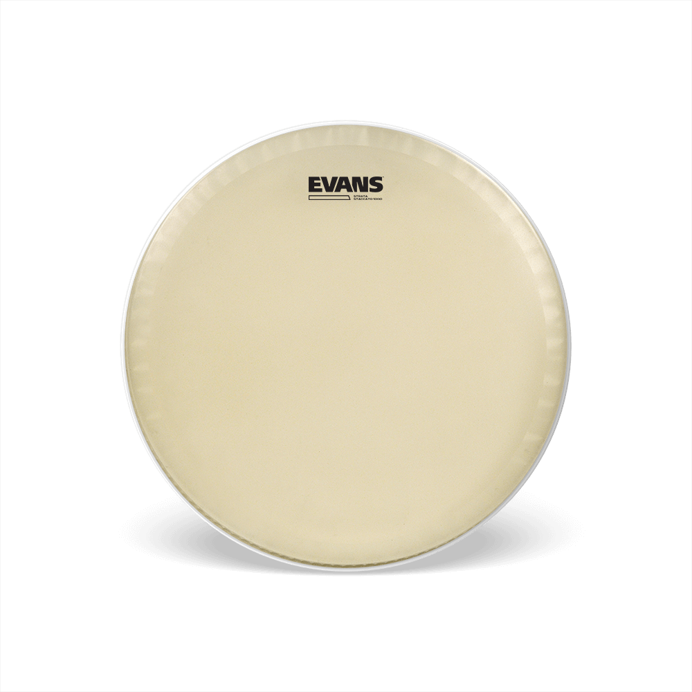 EVANS Strata Staccato 1000 Concert Snare Drum Head, 14 Inch