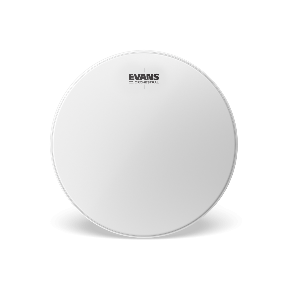 EVANS Orchestral Timpani Drum Head, 24 inch