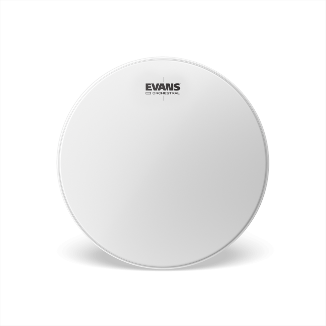 EVANS Orchestral Timpani Drum Head, 24 inch