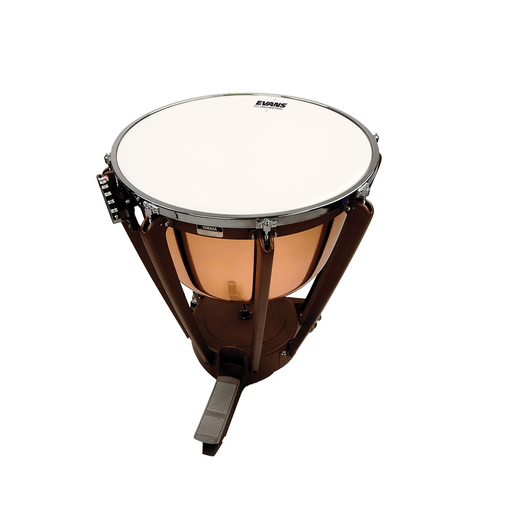 EVANS Orchestral Timpani Drum Head, 24 inch