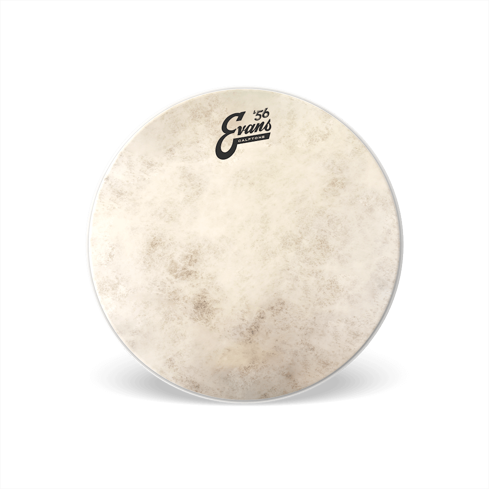 Evans Calftone Drumhead, 12 Inch
