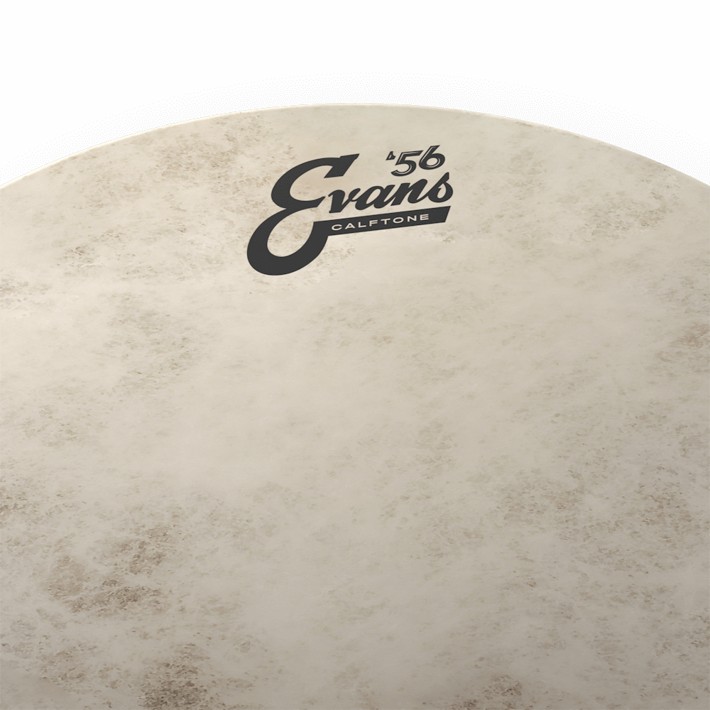 Evans Calftone Drumhead, 14 Inch
