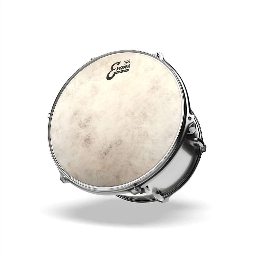 Evans Calftone Drumhead, 14 Inch
