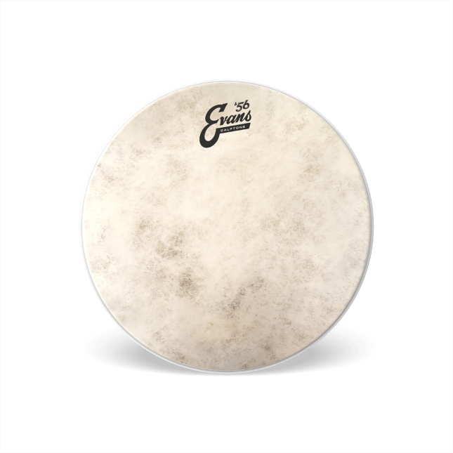 Evans CalftoneDrumheadr, 16 Inch