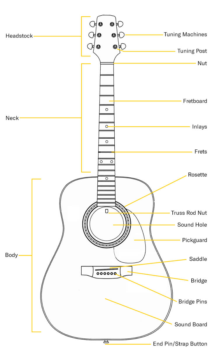 Acoustic guitar anatomy